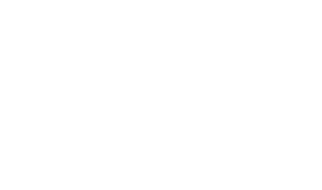 SoonX logo